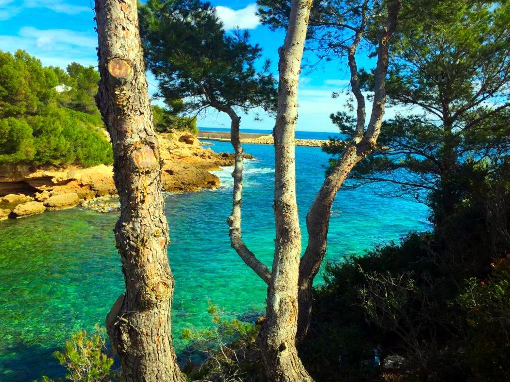 La Perla De La Ostra Villa Platja de l'Almadrava Luaran gambar